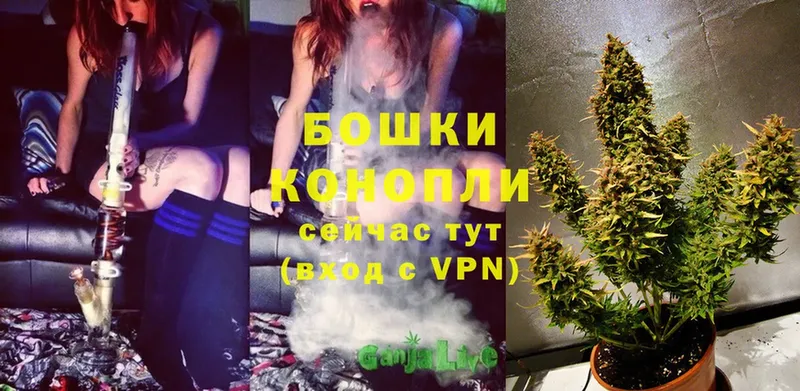 Марихуана OG Kush  Владимир 